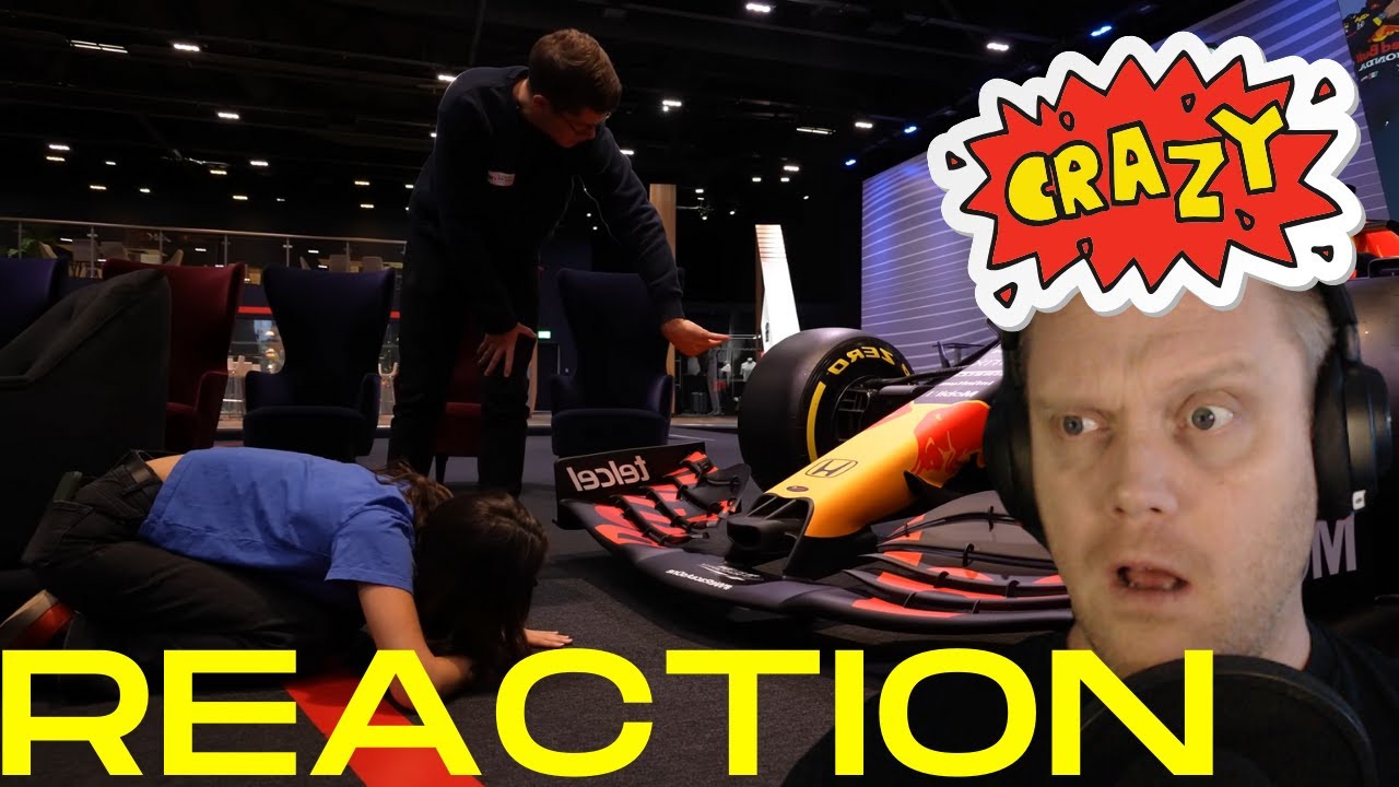 F1 for rookies? How does the cars work?  REACTION!!
