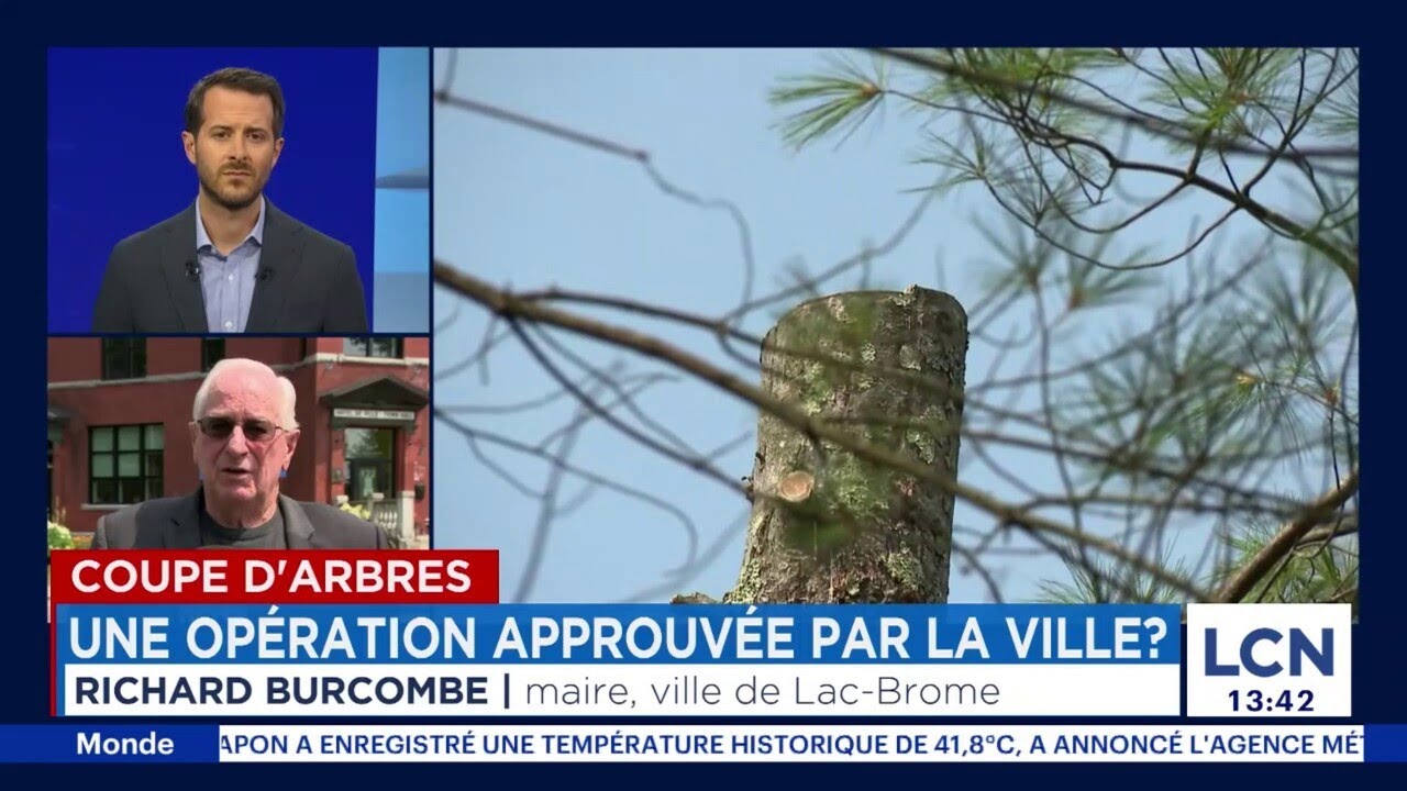 Arbres coupés à Lac-Brome: la Ville n’a donné «aucune autorisation», clame le maire - entrevue