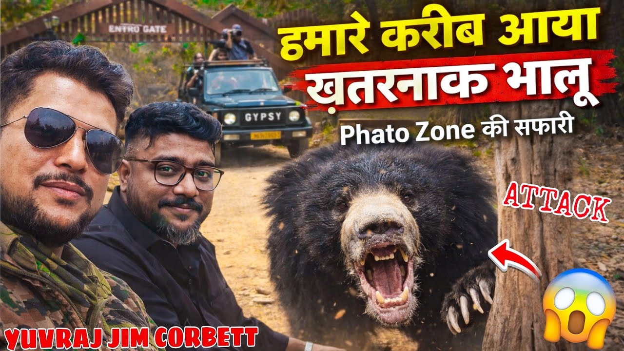 BEAR SIGHTING IN PHATO ZONE 😱 Itna Close Encounter Jim Corbett Mein Pehli Baar 😳 #yuvrajjimcorbett 