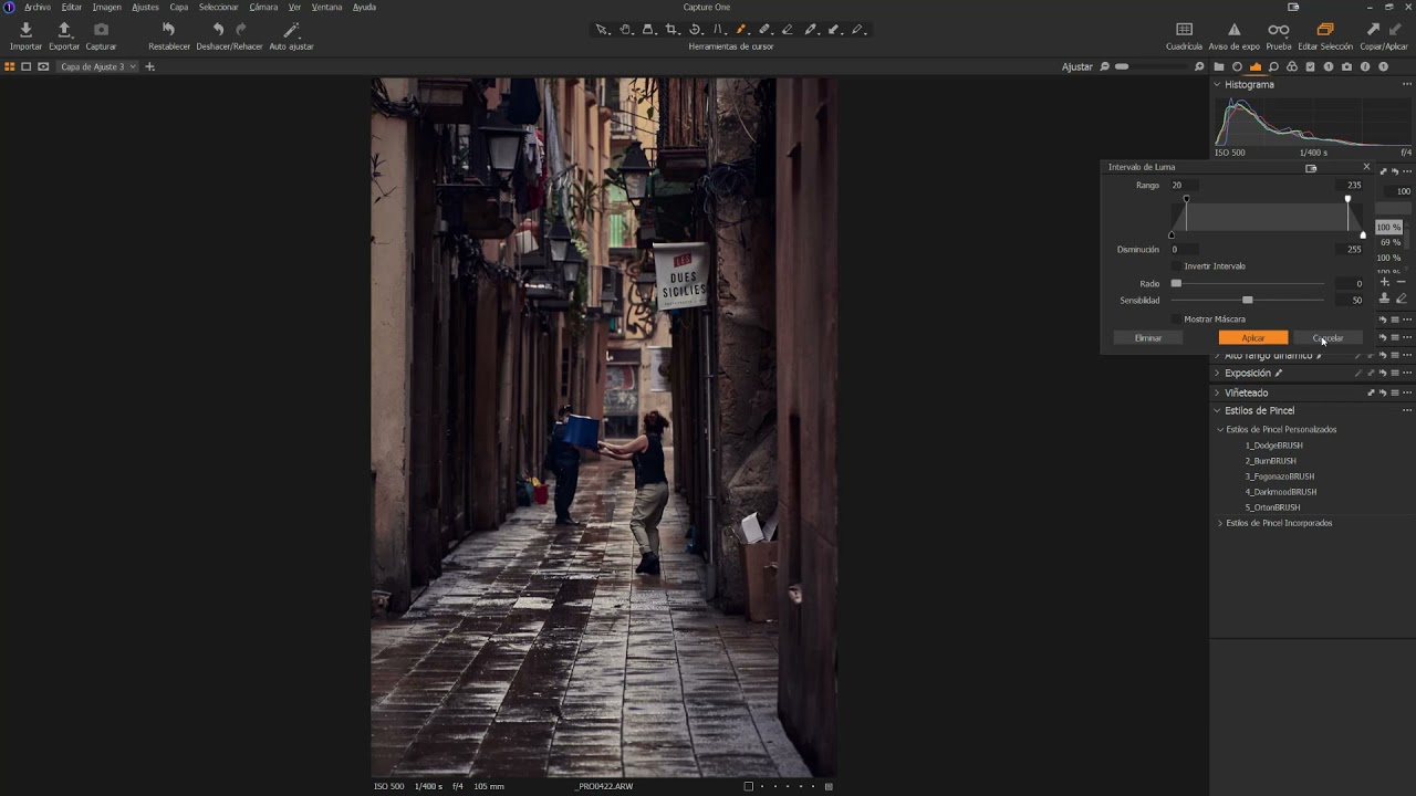 👍👍 TRABAJAR con MÁSCARAS y PINCELES en CAPTURE ONE    👍👍