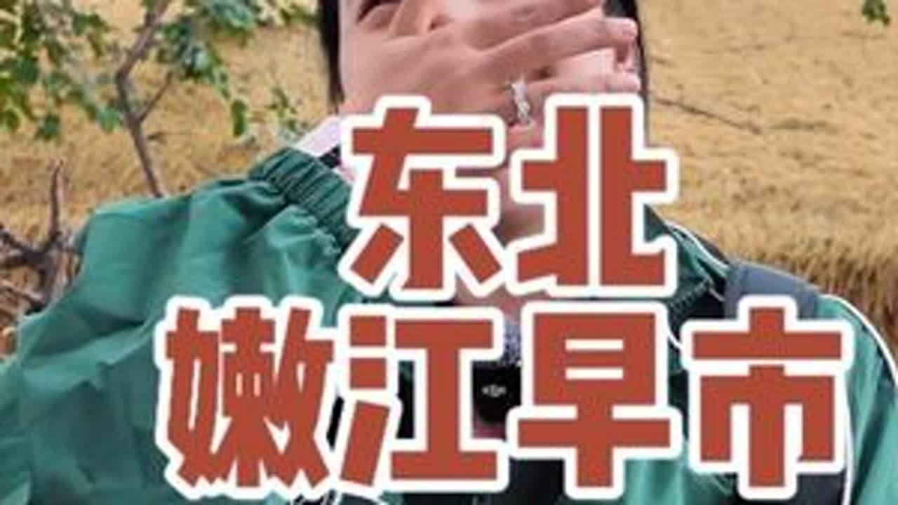 几块钱吃到饱，逛东北嫩江早市，体验接地气的人间烟火 #搞好吃饭大赛 #东北早市 #地方特色小吃 #烟火小店种草计划 #赶集 @抖音小助手