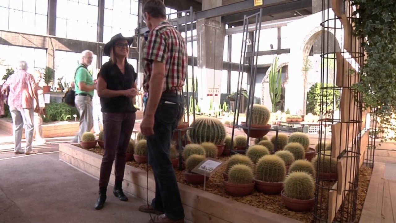 Hallenschau Kakteen Landesgartenschau Landau Pfalz