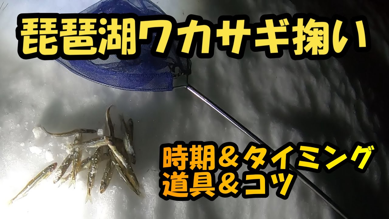琵琶湖 ワカサギ掬い 条件＆道具