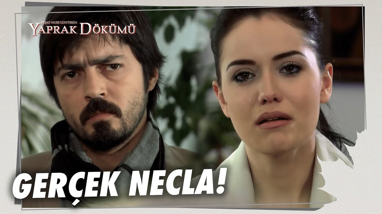 Necla, Ali'ye Geçmişini Anlattı! - Yaprak Dökümü Özel Bölüm