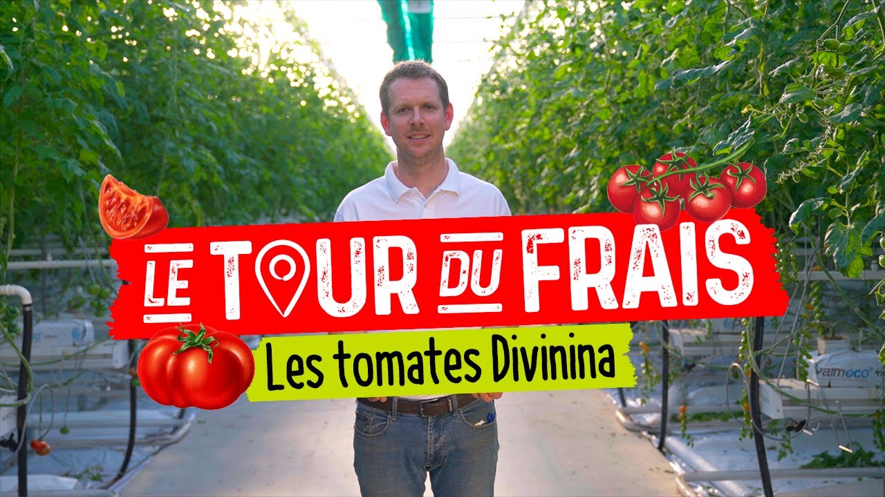 Grand Frais | Le Tour du Frais avec Adrien et Guillaume, producteurs de tomates Divinina !