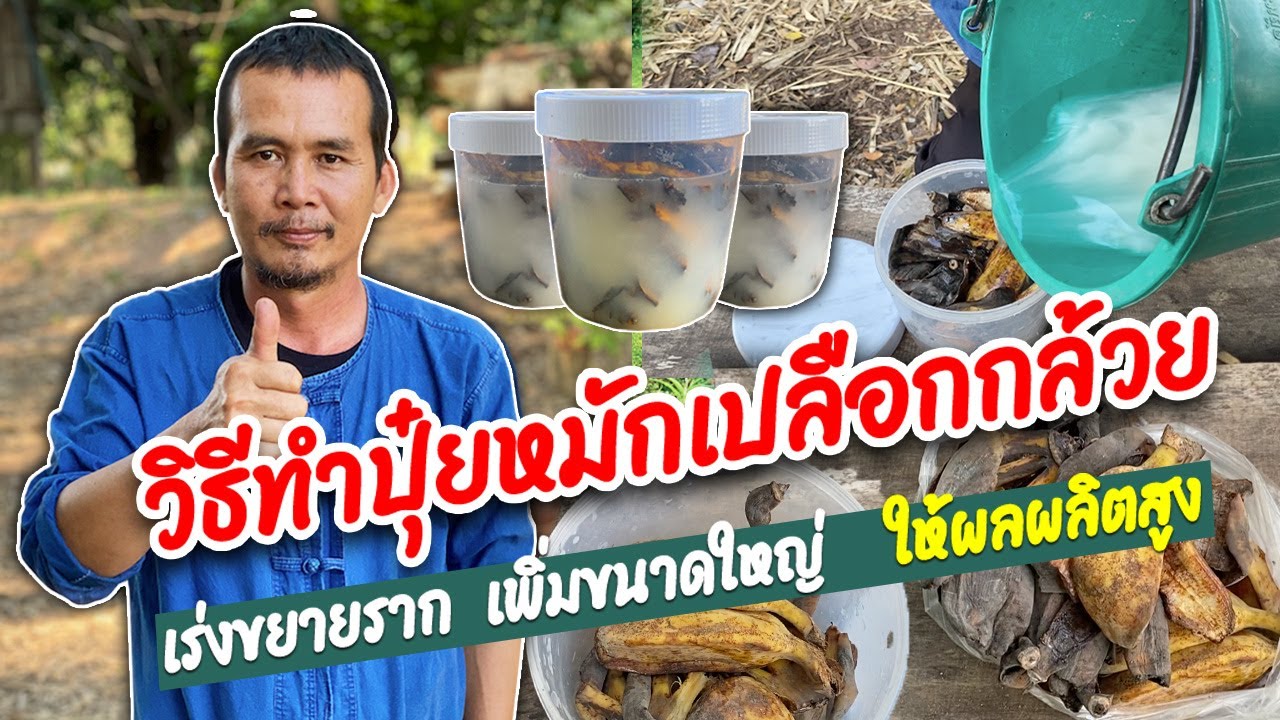 ปุ๋ยหมักเปลือกกล้วย