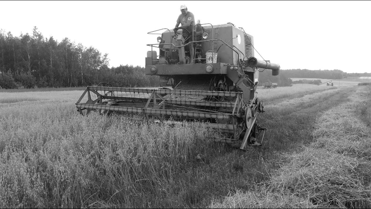 Żniwa 2016 - Smak 80 lat ! Bizon Super Z0-50 !