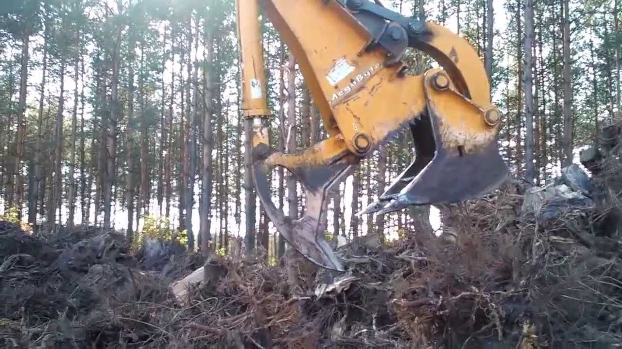 NOŻYCE DO KORZENI cz 1