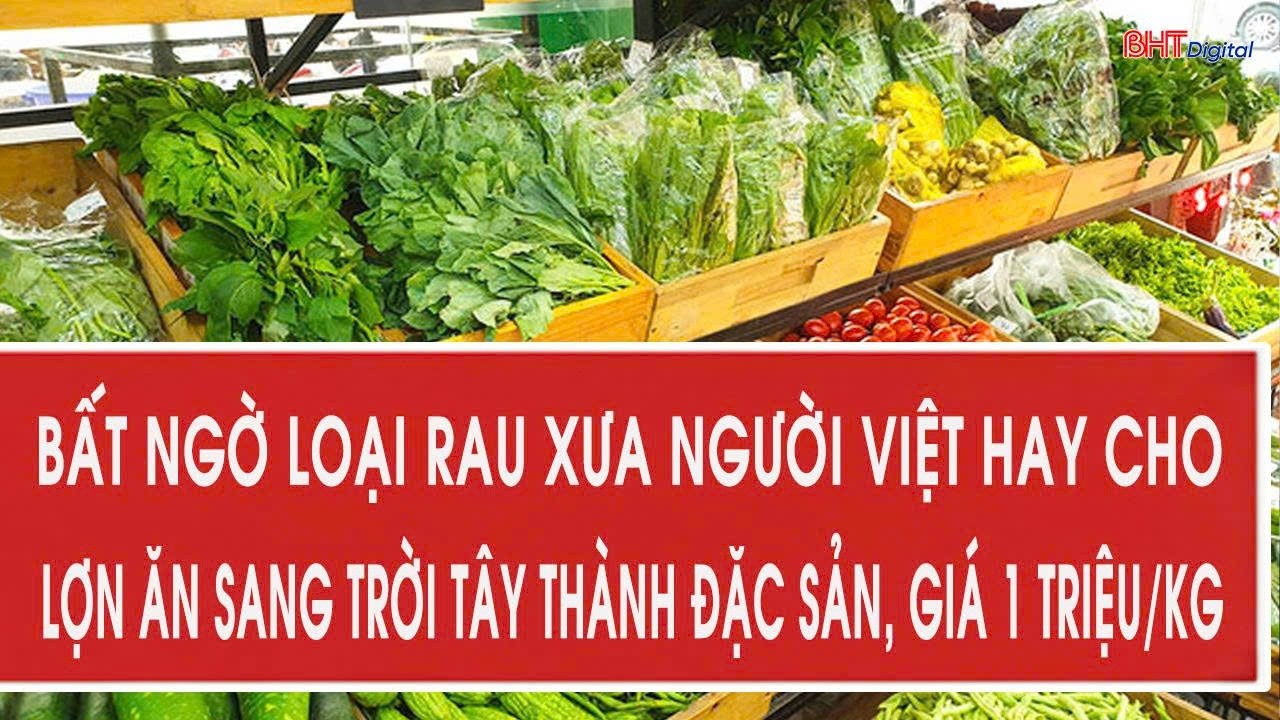 Bất ngờ loại rau xưa người Việt hay cho lợn ăn sang trời Tây thành đặc sản, giá 1 triệu/kg
