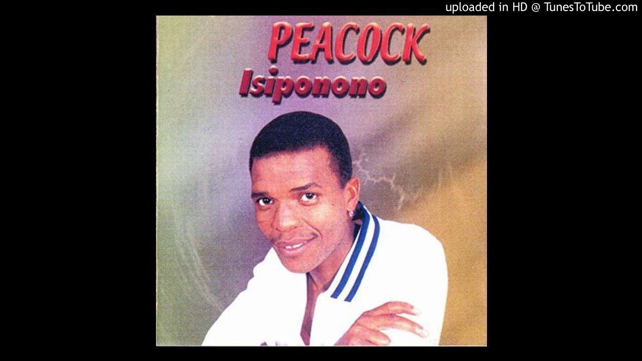 Peacock - Isiponono