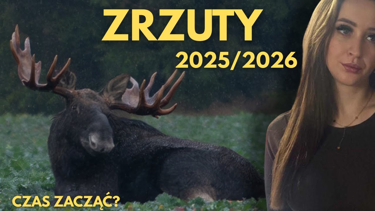 W TERENIE ODC. 17 / ZRZUTY 2025/2026 - ZACZYNAMY POSZUKIWANIA