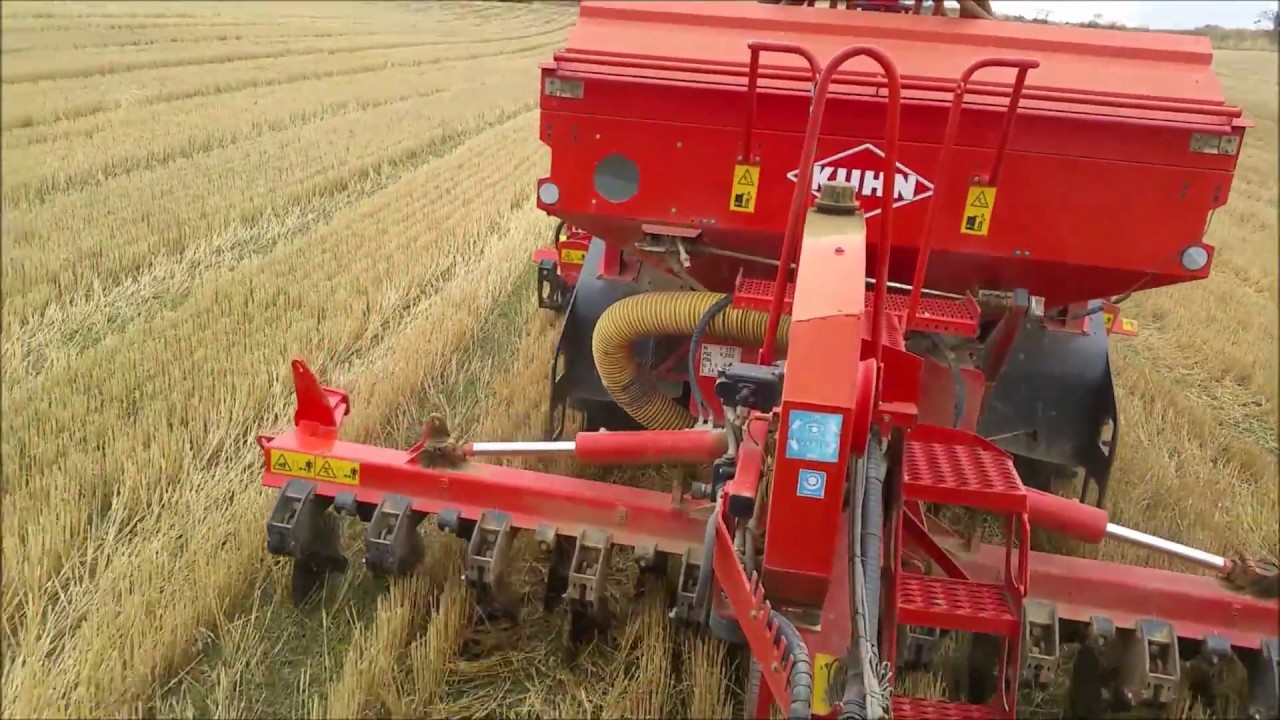 Siembra Directa de colza tras trigo