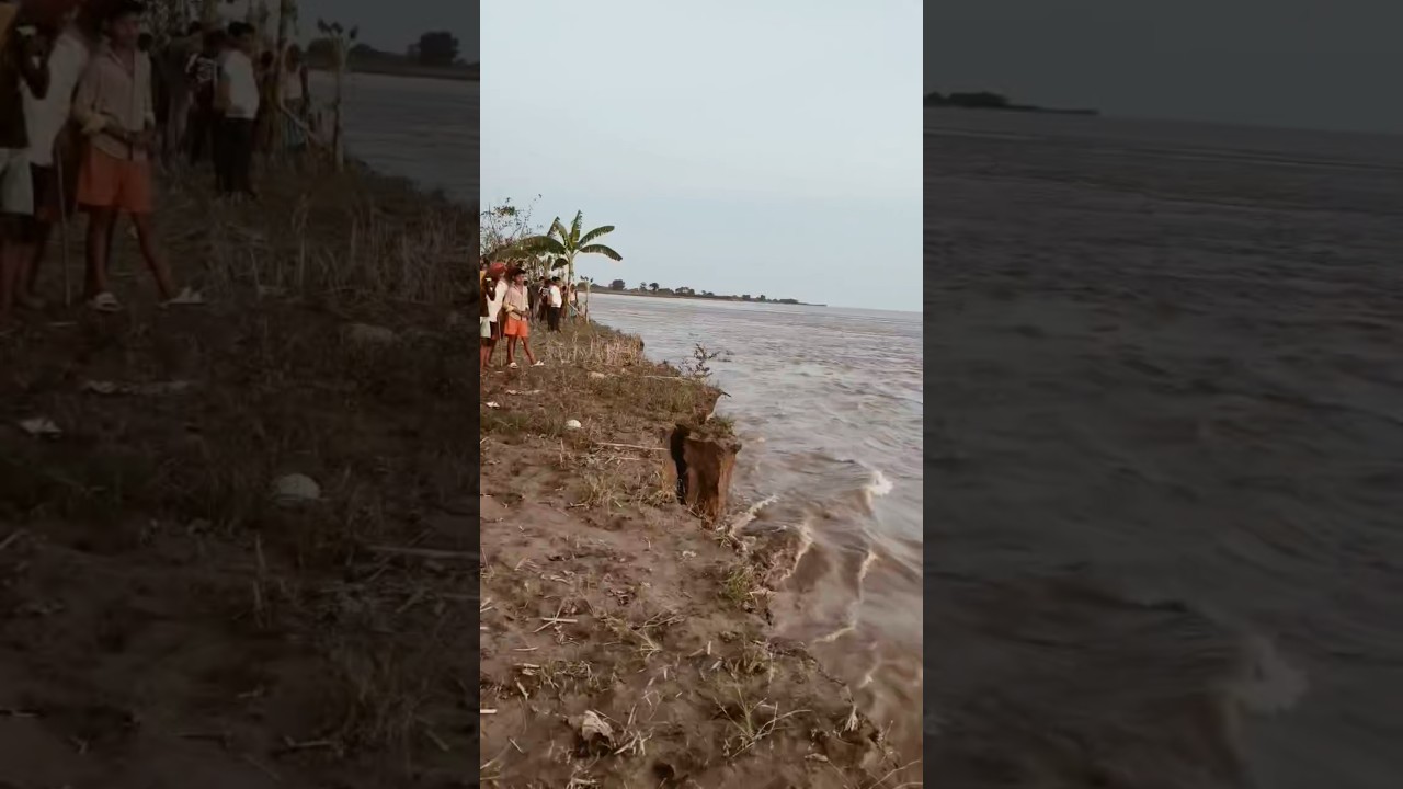 Nayaganj Nayagaon Ganiyari katan bahut hi #hajipur #shortvideo #ganiyari