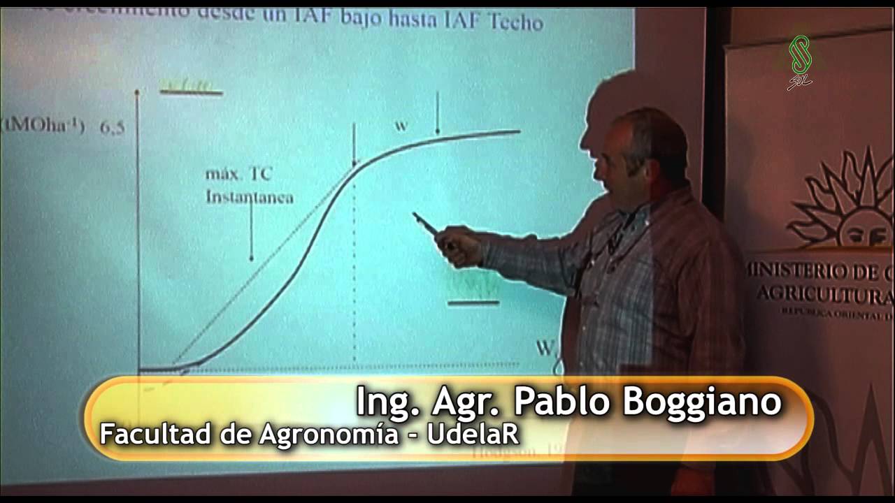 Producción de pasturas en Campo Natural (Parte 1)