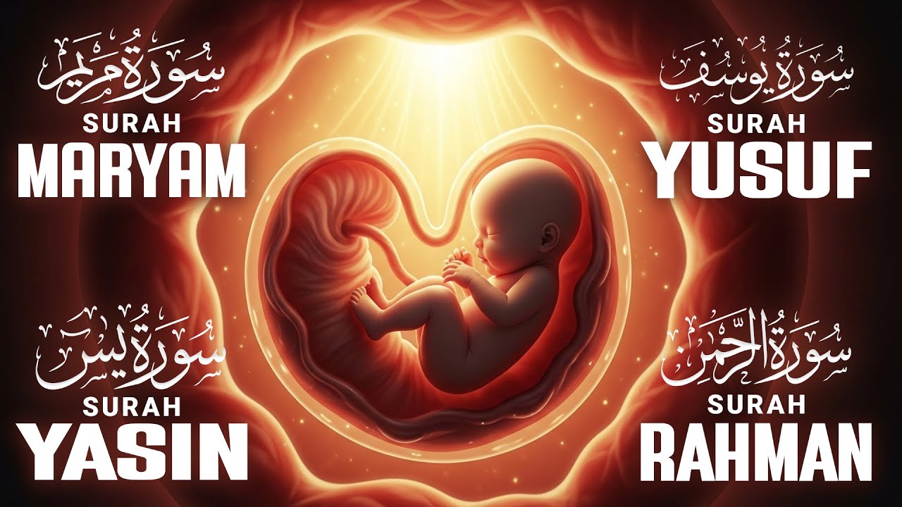 Quran Recitation For Pregnancy ( MUST LISTEN ) Surah Yusuf, Maryam, Yasin, Rahman | Only -Holy Quran