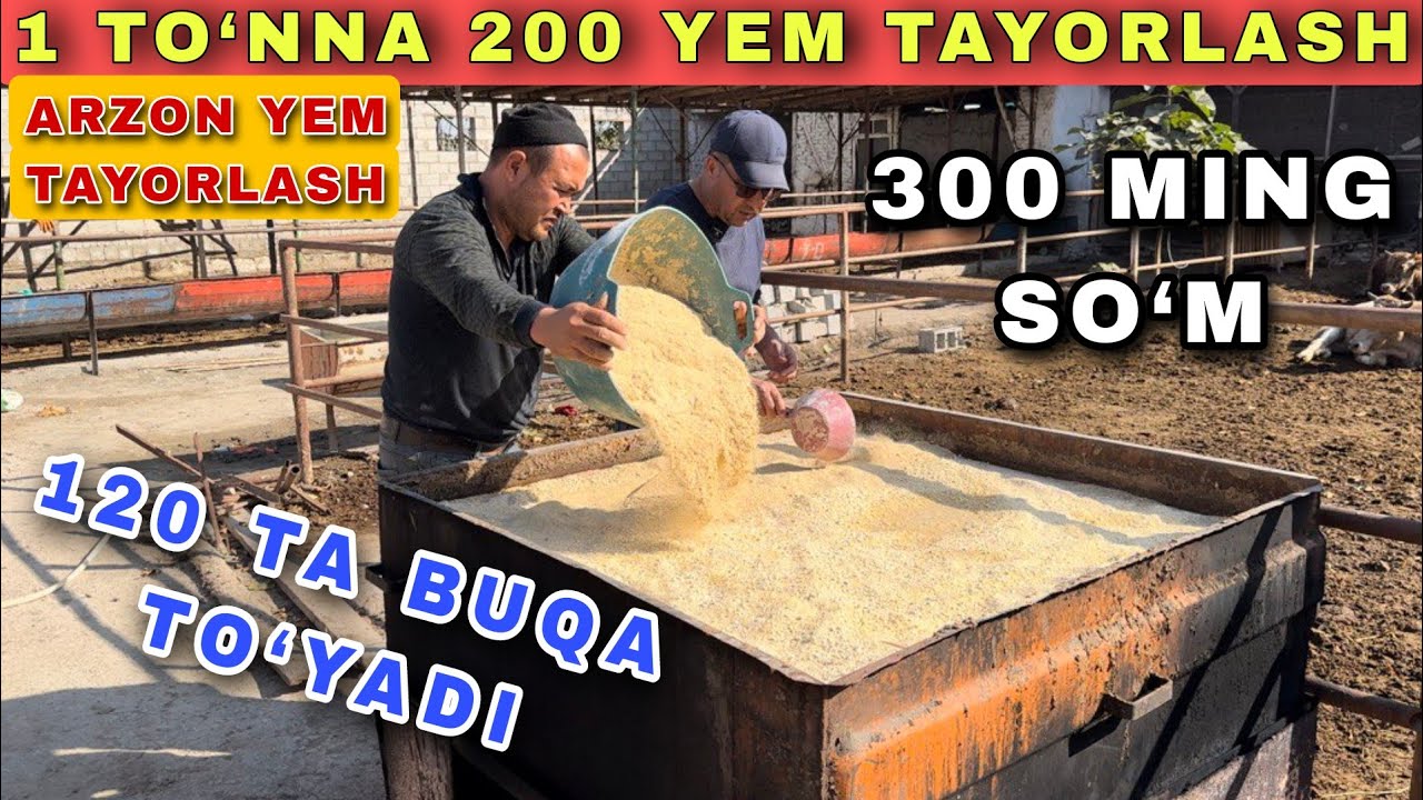 ARZON YEM TAYORLASH 300 MING SO‘MGA 120 TA BUQA TO‘YADI
