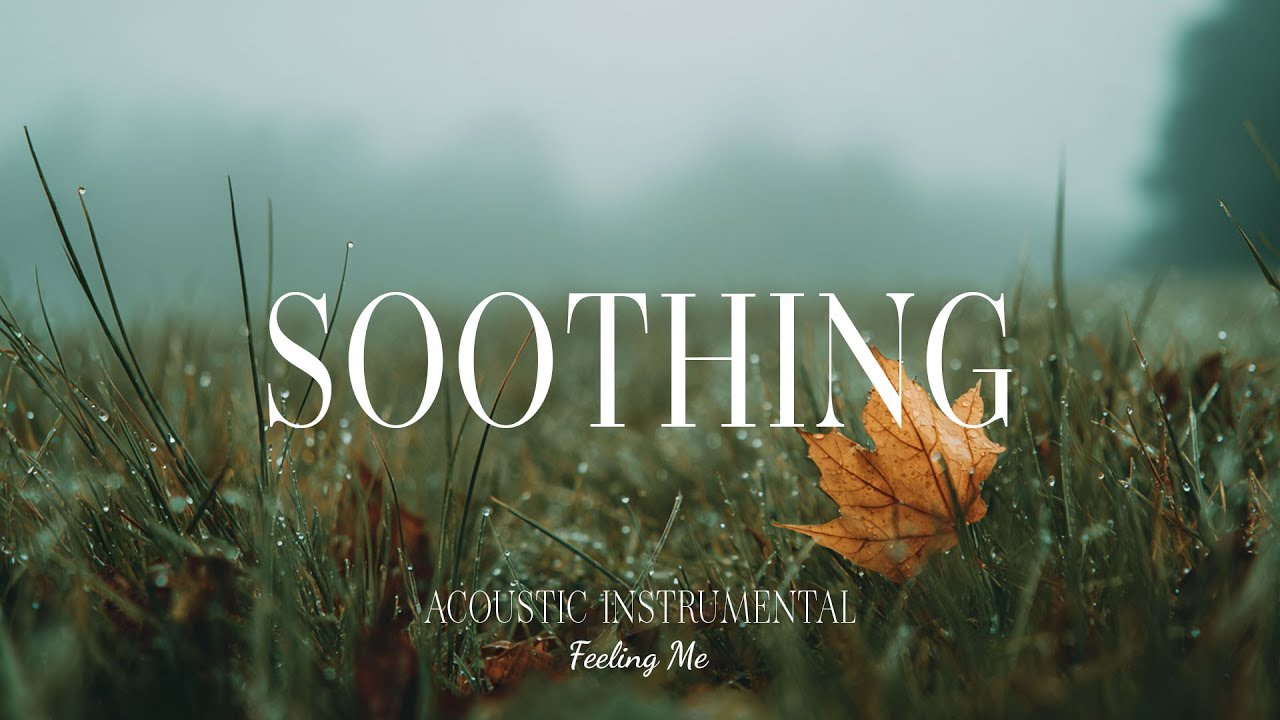 Soothing Your Soul 🌿 Gentle Guitar Music for Stress Relief and Deep Relaxation | FEELING ME