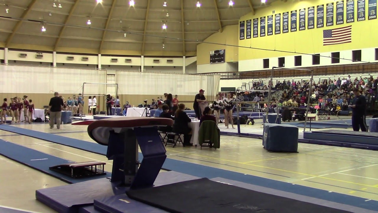 Level 7/8 Gymnastics - Vault 1: BCG Valentine Invitational - Session 4