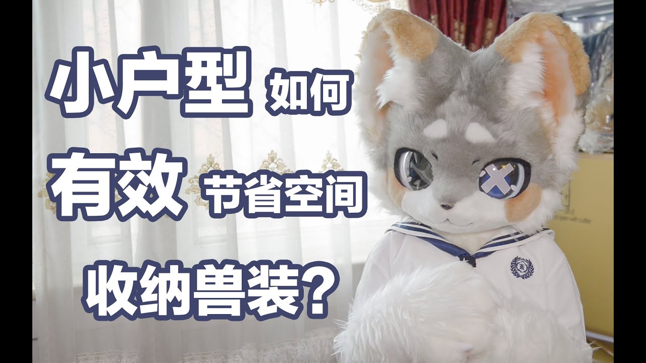 小户型怎么收纳多套毛装？小奶狗来教你省钱省力省时的收纳方法！【司马小忽悠のFursuit】