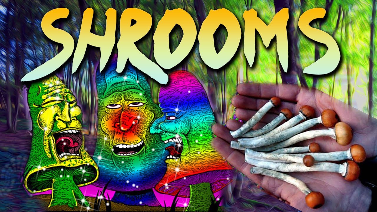 Zu viele Shrooms gefressen.. | Erfahrungsbericht