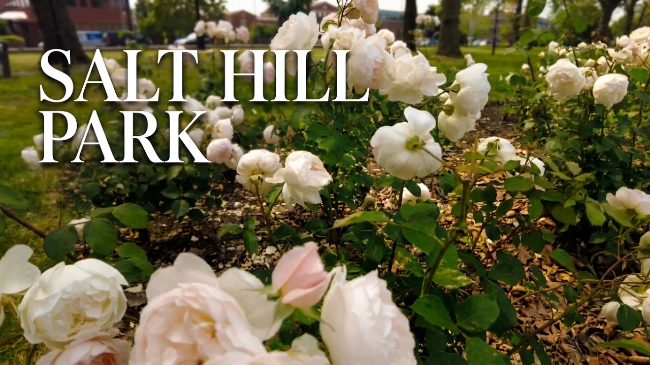 Salt Hill Park, Kashmiri Karahi and Montem Slough