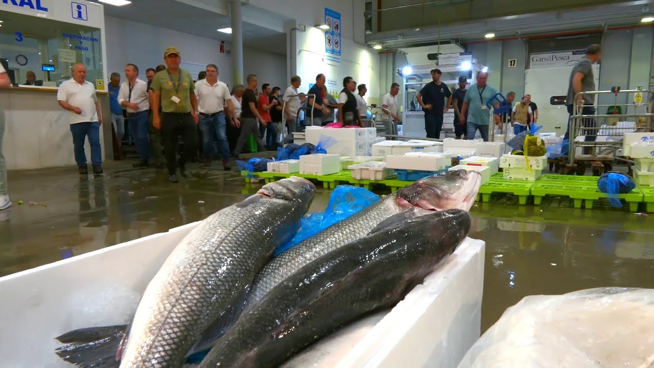 Visitamos el mercado de mayoristas de El Puerto de Santa María y Jerez de la Frontera