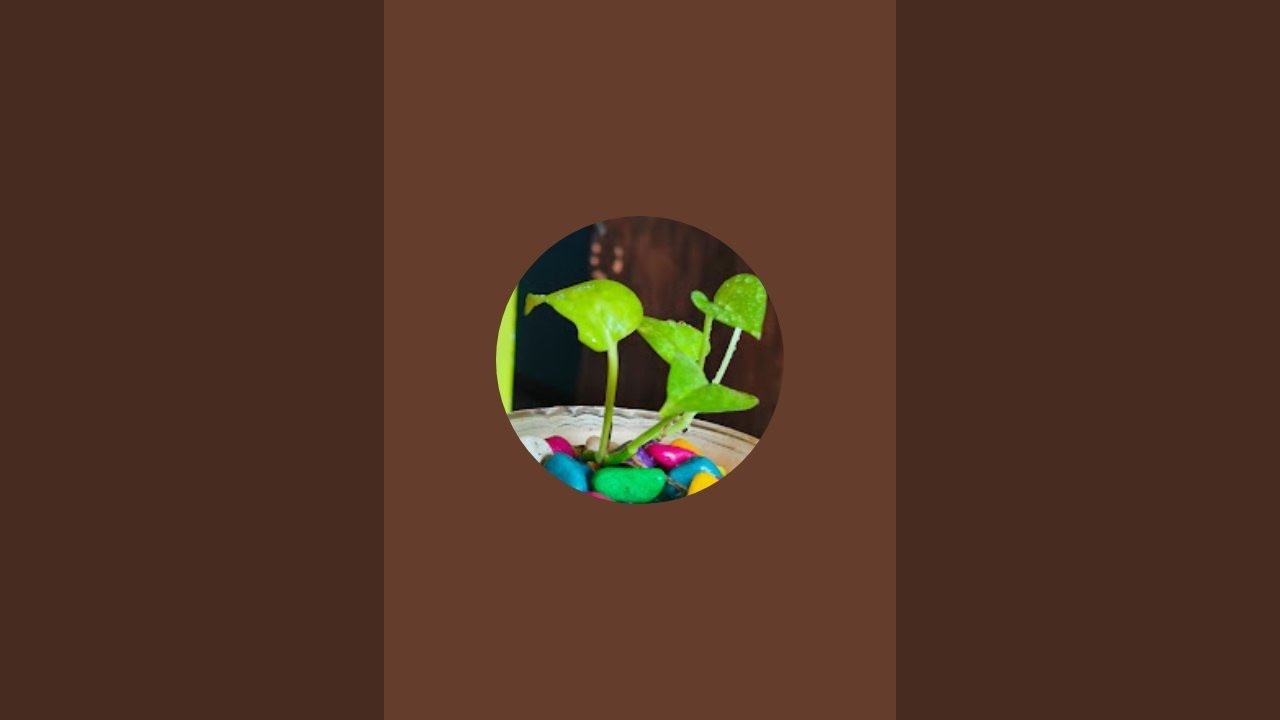 Viewplant is live