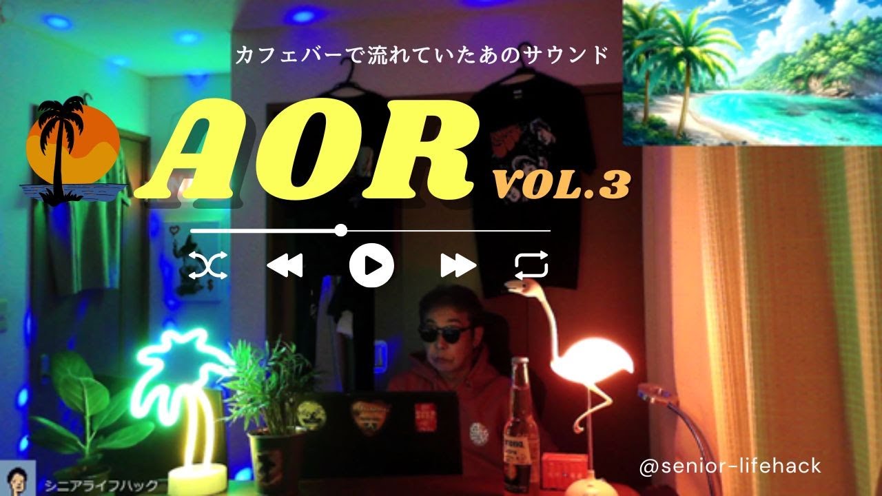 【AOR Vol.3】ゲレンデ⛷️やビーチサード🏝️のカフェバーで聞いたなつかしの曲　80年代を中心にお届けします　＠Tokyo　Japan
