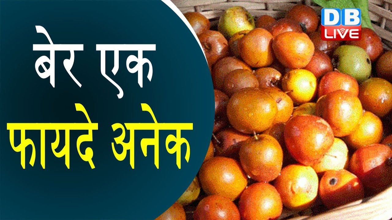 जानिए क्या है बेर के फायदे | शरीर के लिए फायदेमंद बेर |#HEALTH