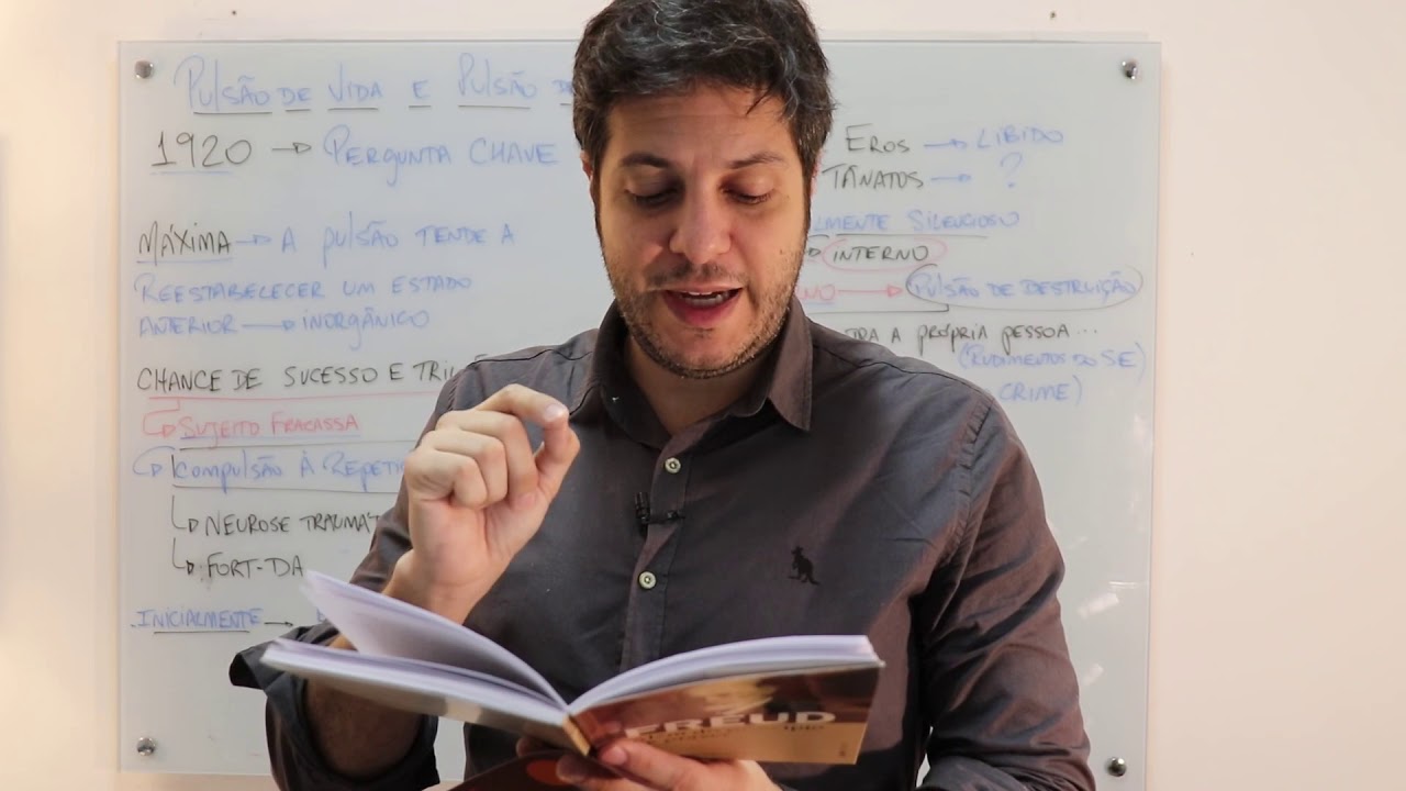 A pulsão de morte: Teorias da Personalidade em Freud, Reich e Jung - Aula #8