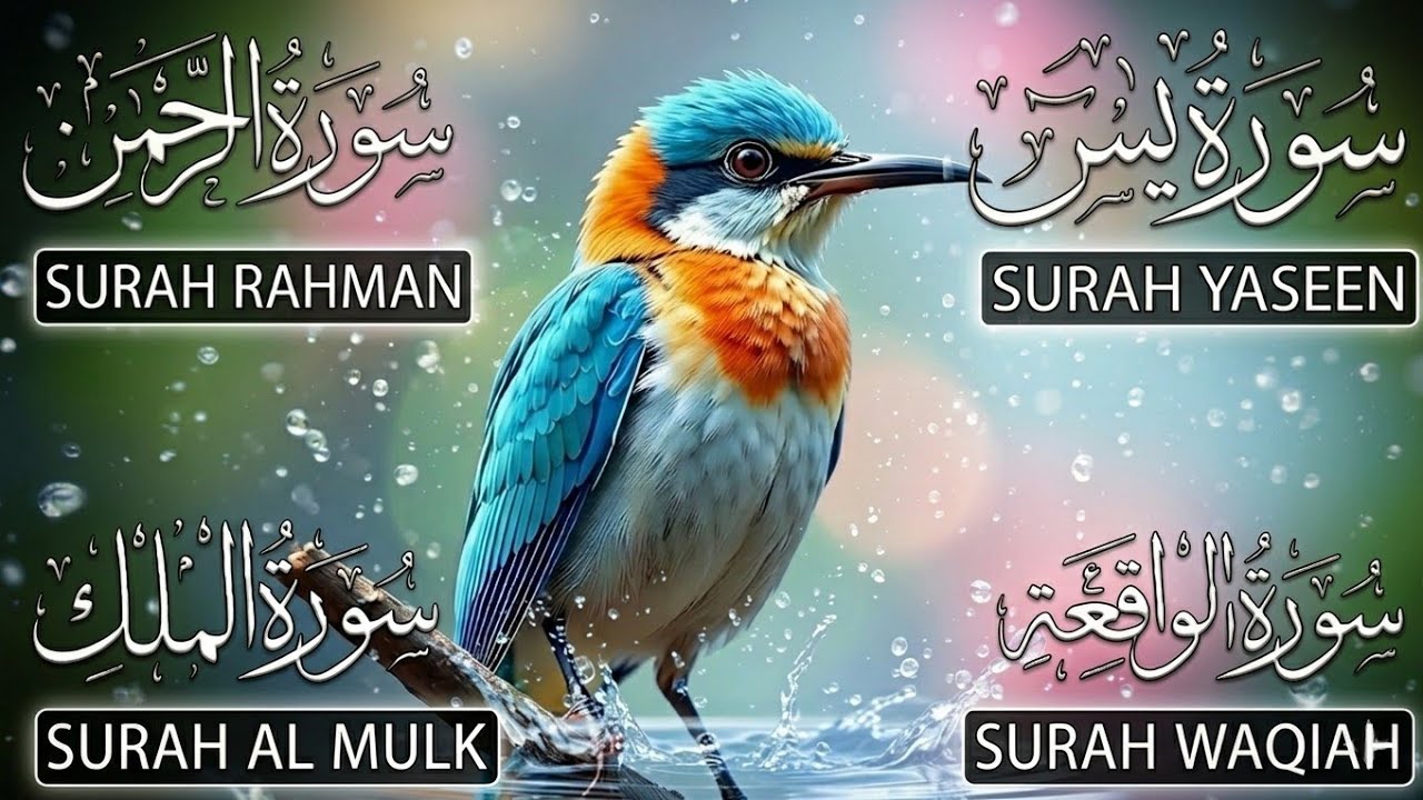 Very Nice Voice Surah Yaseen | Surah Rahman | Surah Waqiah | Surah Mulk l Reciter Mansoor Gaznavi