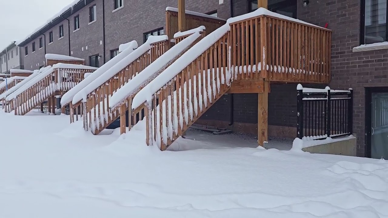 Snowy Weekend
