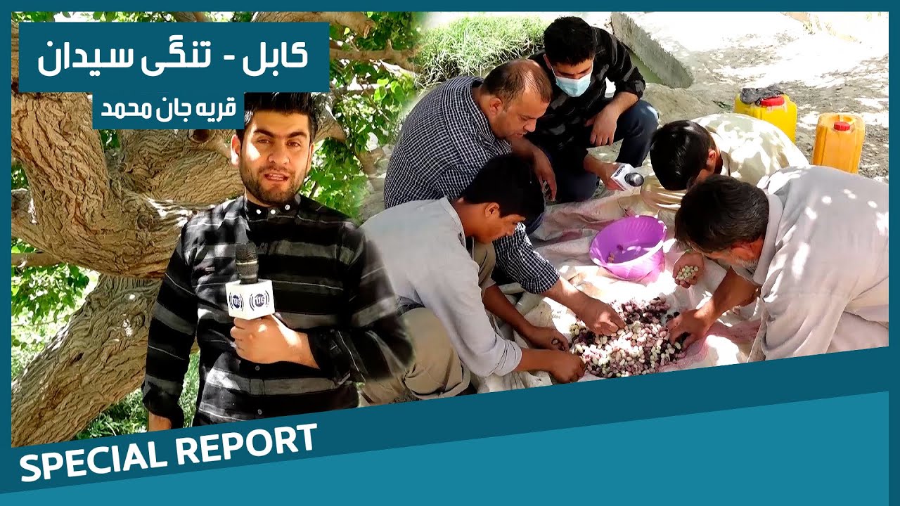 #HamayonAfghan Special Report - Tangi Saidan / گزارش ویژۀ همایون افغان از تنگی سیدان قریه جان محمد