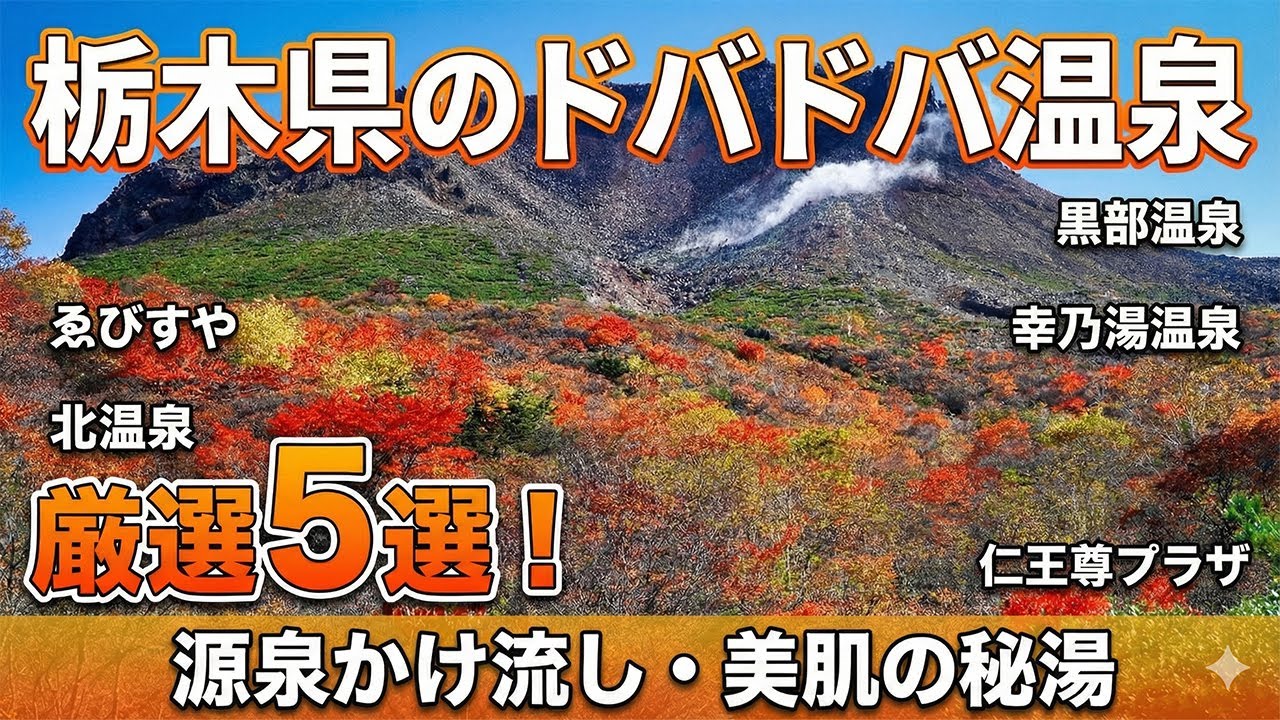 【栃木県の温泉】ドバドバ温泉5選 北温泉 仁王尊プラザ 黒部温泉 幸乃湯温泉 塩原元湯ゑびすや