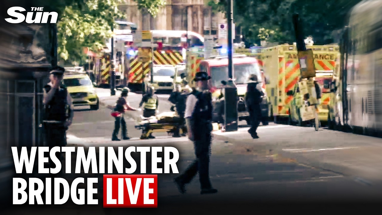 LIVE: Armed police boat crashes near Westminster Bridge on the River Thames