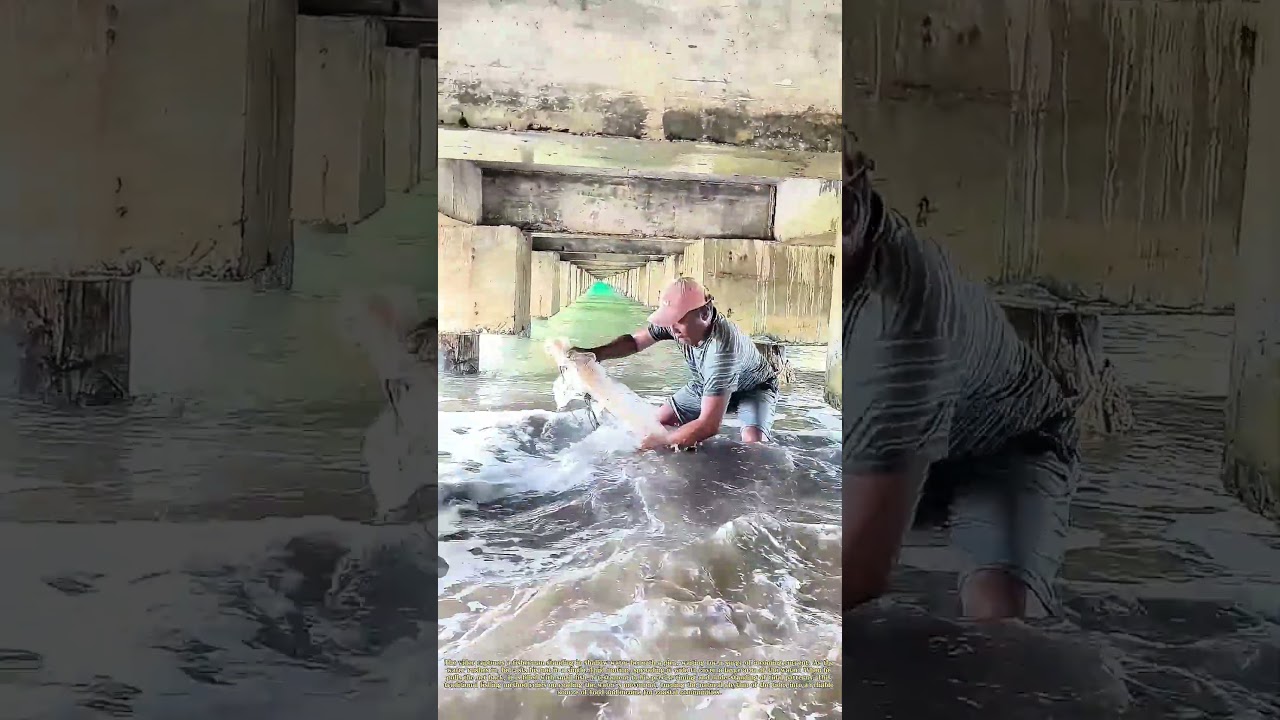 Casting Nets: How a Fisherman Uses Timing to Catch Fish in Tidal Water