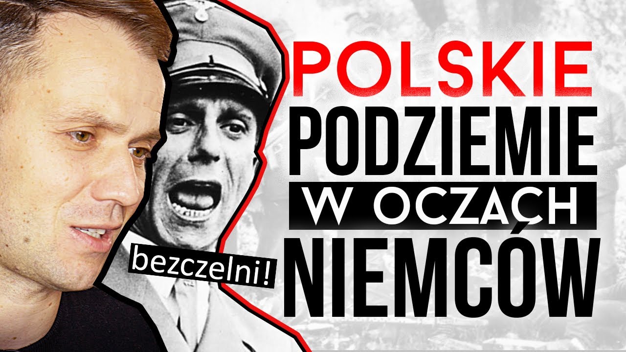Jak Niemcy oceniali polski ruch oporu