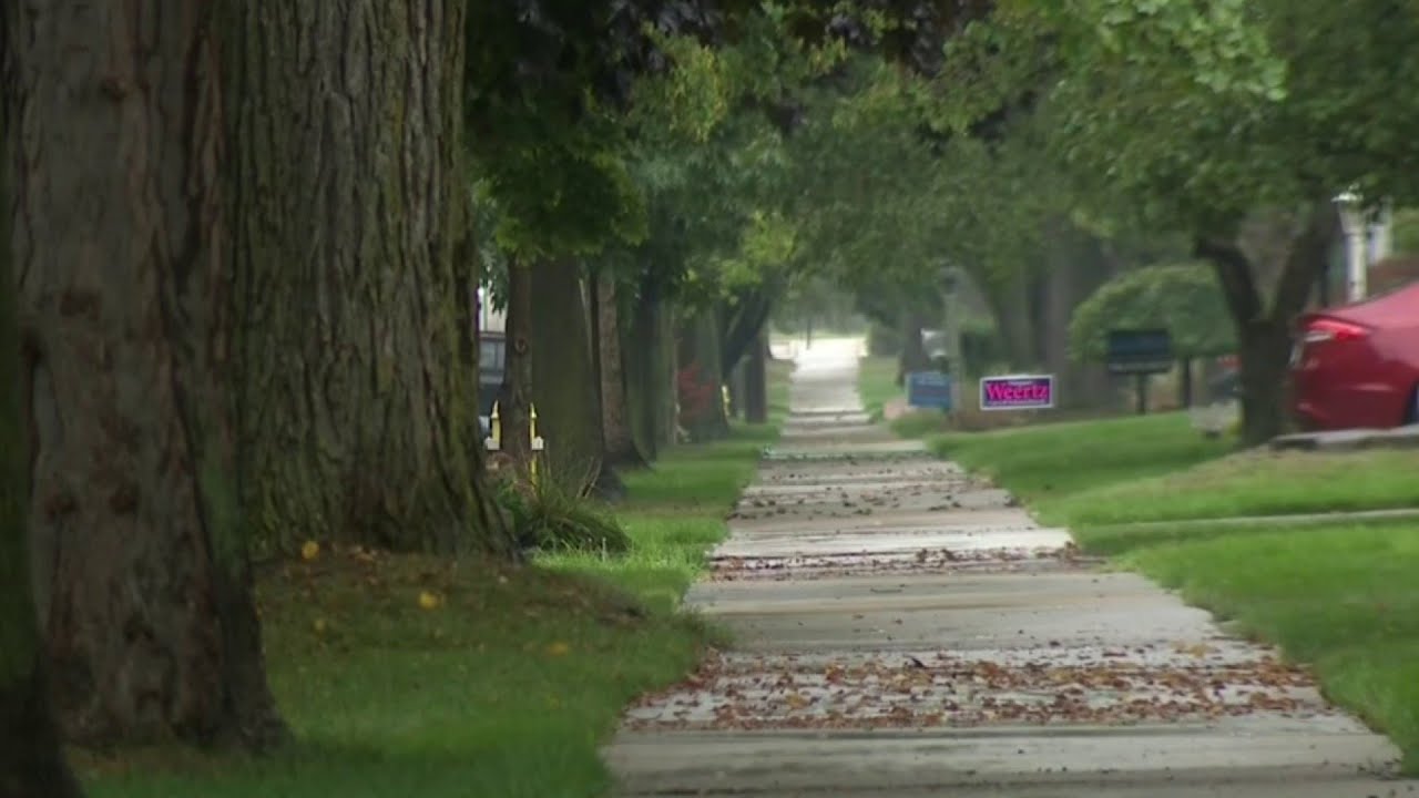 Attempted child abduction in Grosse Pointe Woods