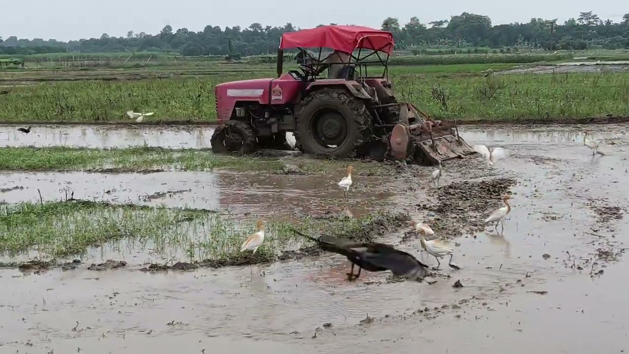 Mahindra 595 DI turbo #agriculture mud CAET hilug tyre performance