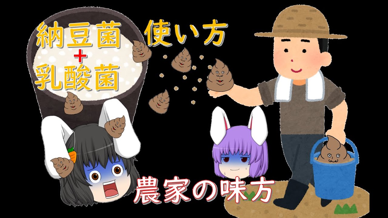 【後編】乳酸菌・納豆菌・酵母菌の菌体培養液の手作り・使い方