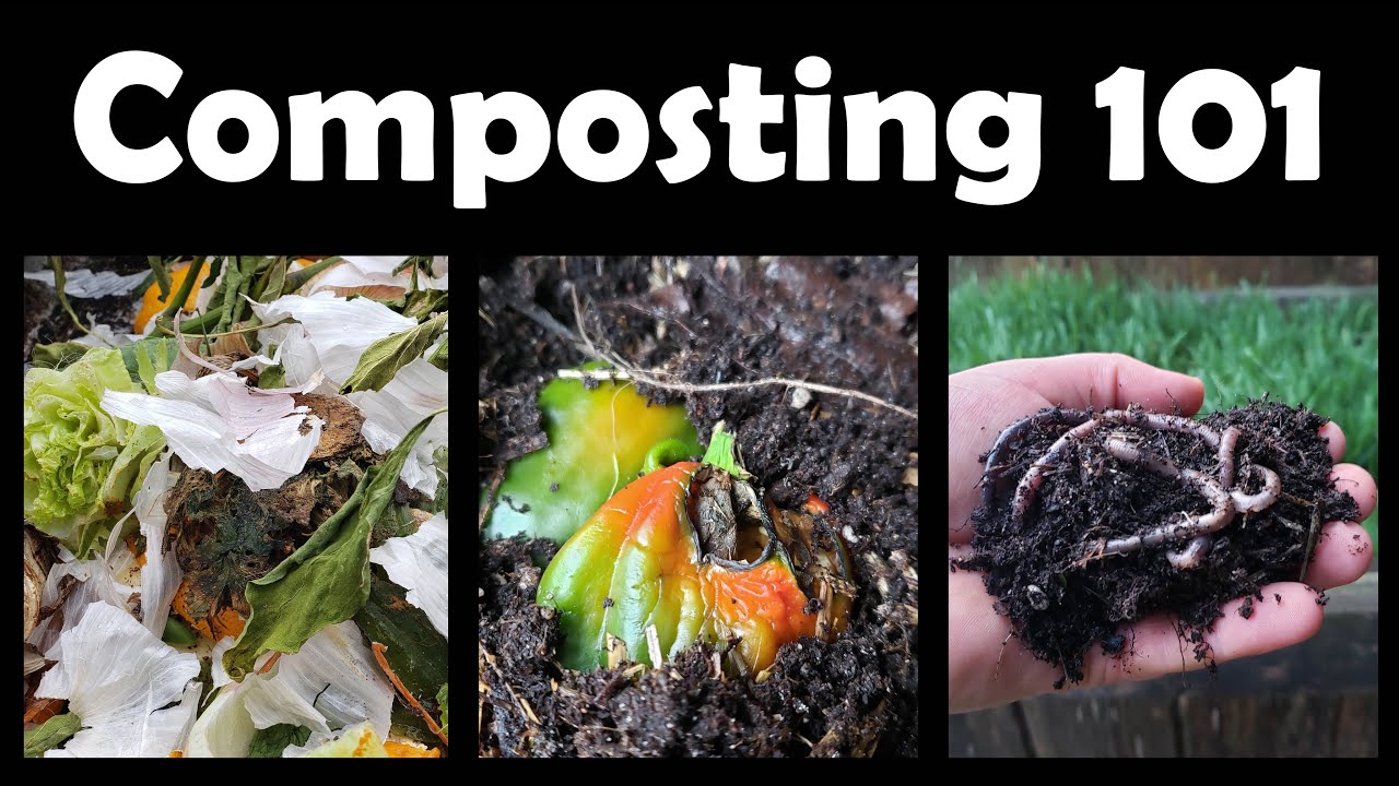 Composting Tutorial - Guide To A Better Compost