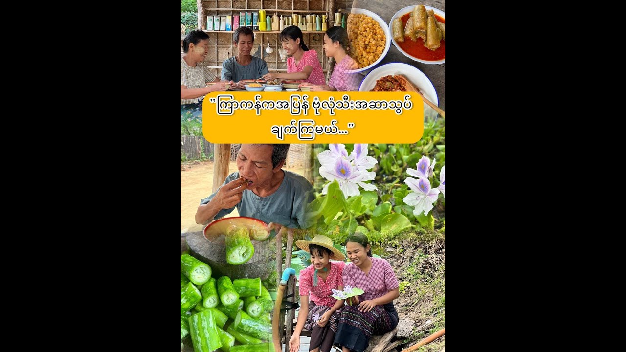 “အရသာထိမိတဲ့ ဗုံလုံသီးအဆာသွပ်…”