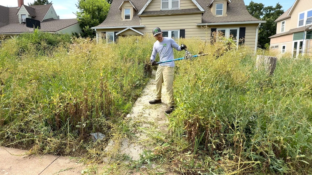 Nobody Had Touched This Yard in Months and the Neighbors Were Over It