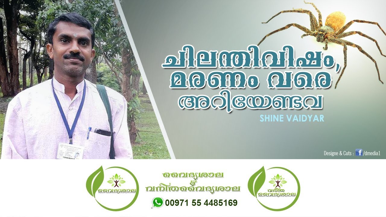 VISHA VAIDHYAM | ചിലന്തി വിഷം | പാമ്പ് കടിച്ചാൽ | പഴുതാര കടിച്ചാൽ | എട്ടുകാലി വിഷം Chilanthi Visham