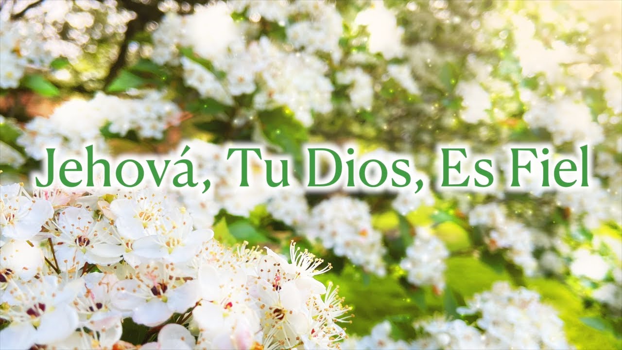 Alabanza: Jehová, Tu Dios, Es Fiel [Versión 2]