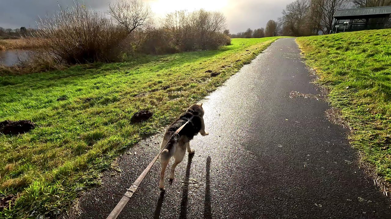 Bremerv&ouml;rde V&ouml;rder See - Schietwetterchallenge mit Hund