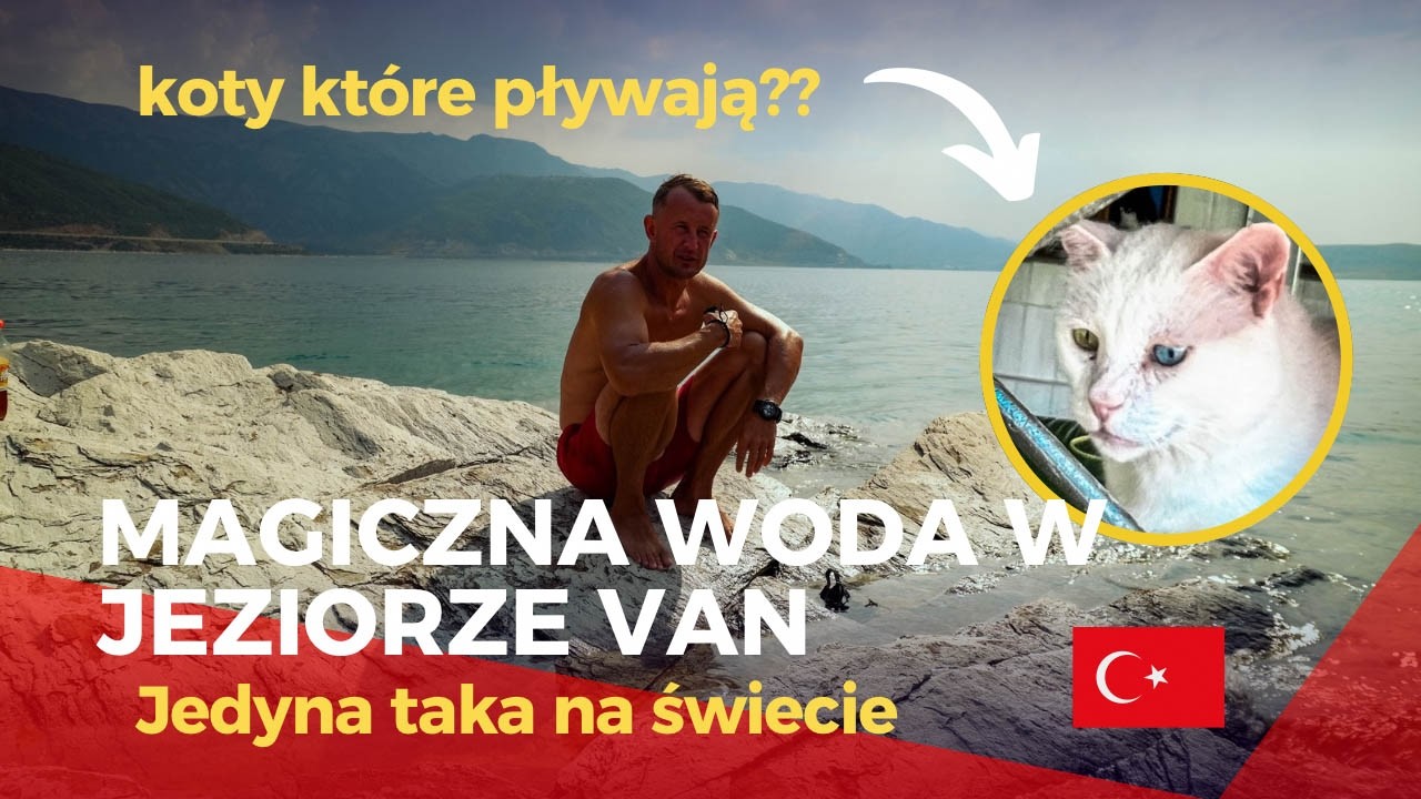 Oleista woda w jeziorze VAN czyni cuda 😱 Płyniemy na wyspę | Turcja wschodnia #237