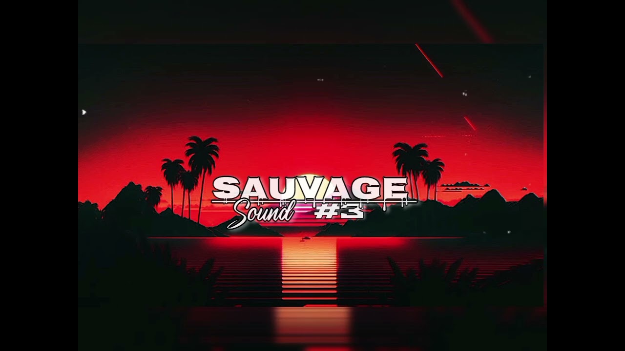 SAUVAGE-SOUND X KERCHAK X LA MANO 1.9 MeLo Reggae 💯🎶🏴‍☠️