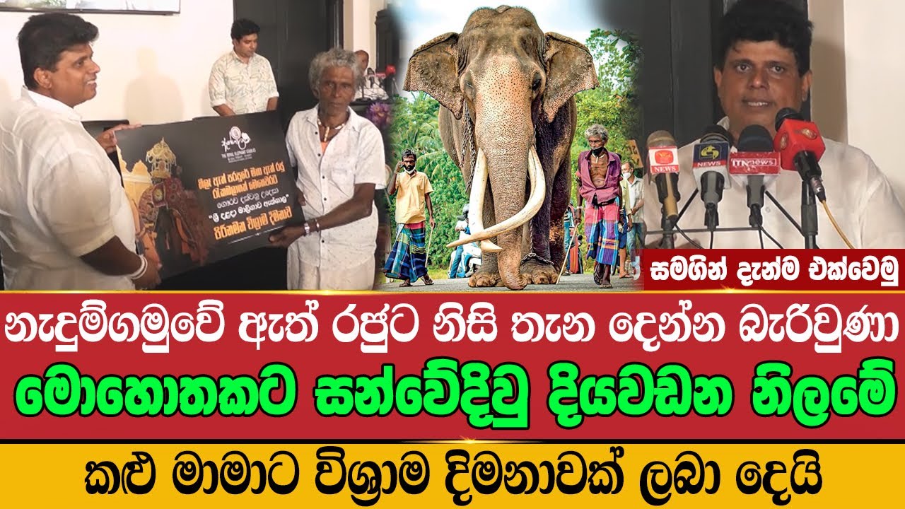 නැඳුන්ගමුවේ රාජා ගැන කියමින් සන්වේදි වු දියවඩන නිලමේ | Nadungamuwa Raja | Kandy Esala Perahera 2024
