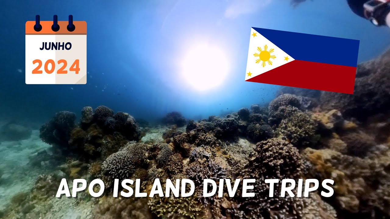 Apo Island Dive Trips | Negros Oriental | Filipinas | Queridos Lugares